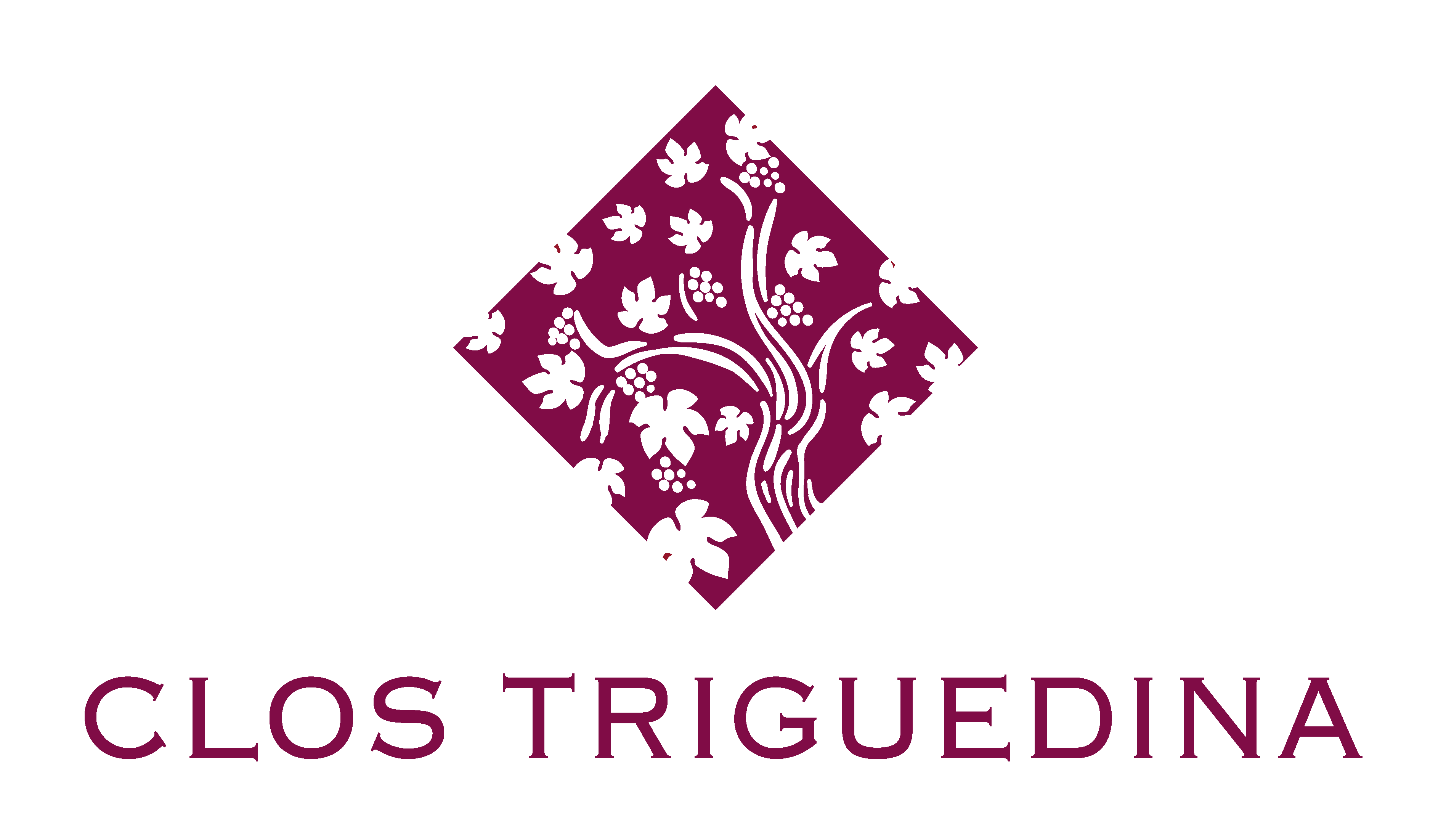 Famille Baldès Vins de Cahors, SAS Clos Triguedina a Vire Sur Lot 46700